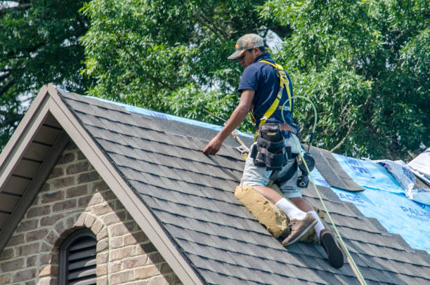 Roof Gutter Cleaning in Redgranite, WI